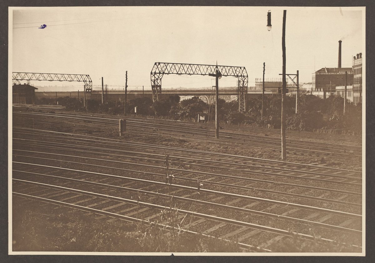Plantation at North Melbourne (1916–19)
