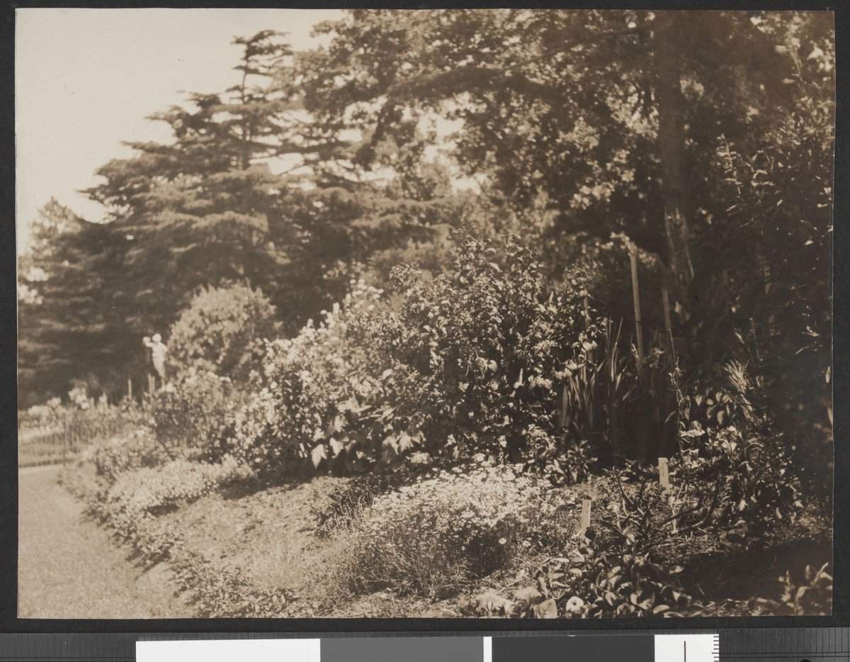 Fitzroy Gardens, [East Melbourne, Vic.] (1923–25)