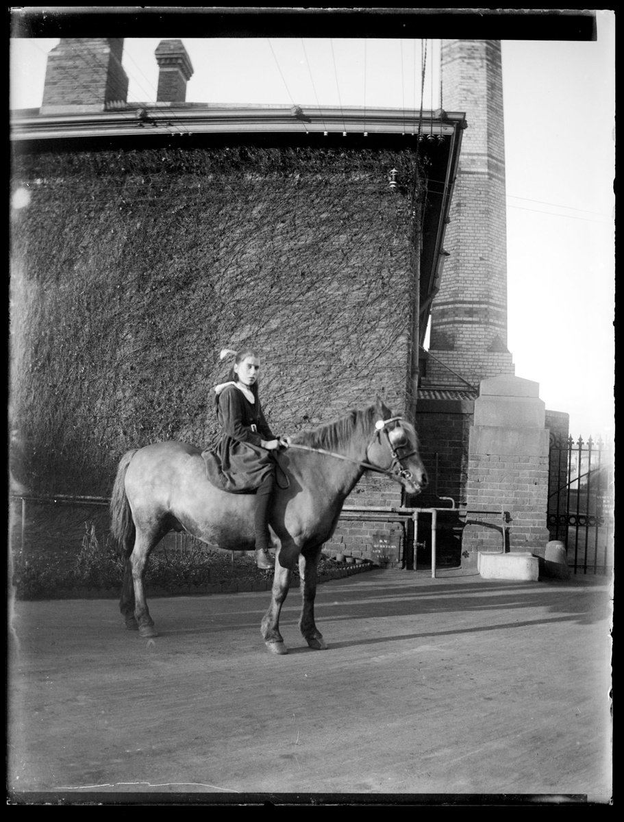 Crivelli's ponies at the Melbourne Mint, Victoria (c. 1914)