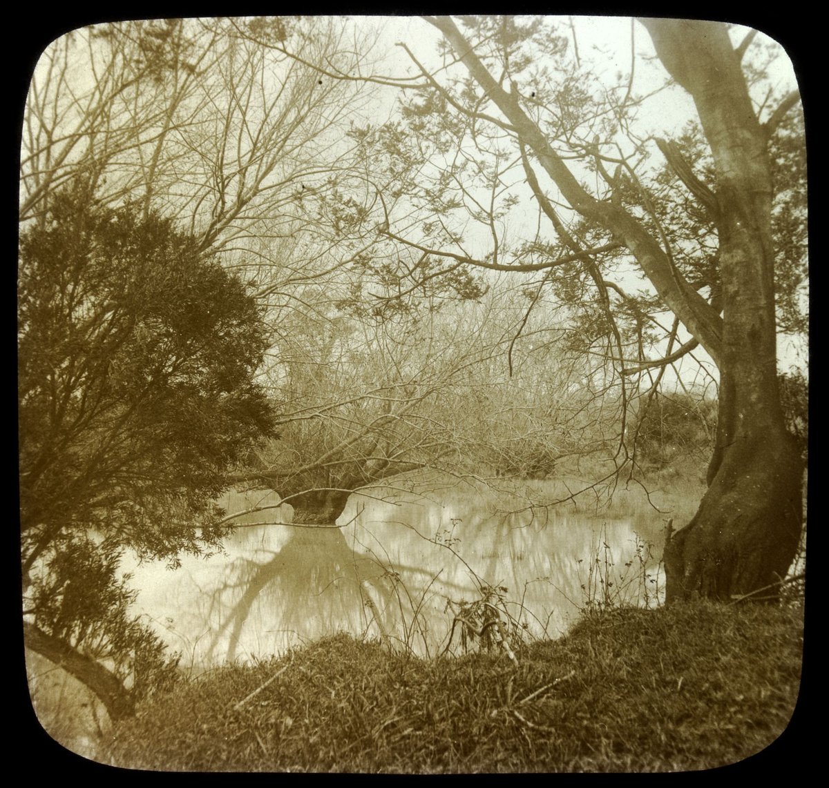 Pool at Heidelberg (1875–1938)