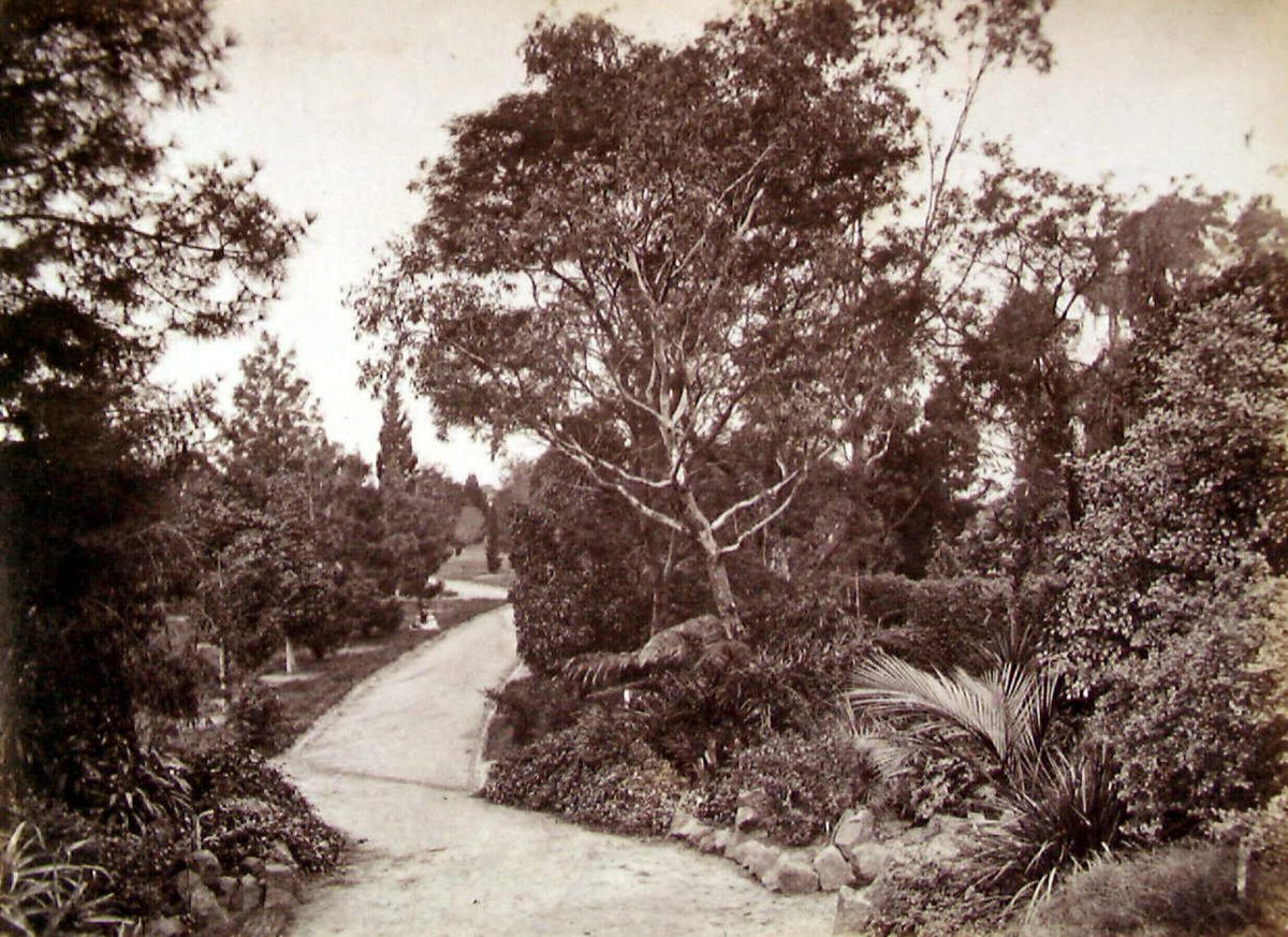 View in Botanical Gardens - Melbourne, Melbourne City (c. 1865)