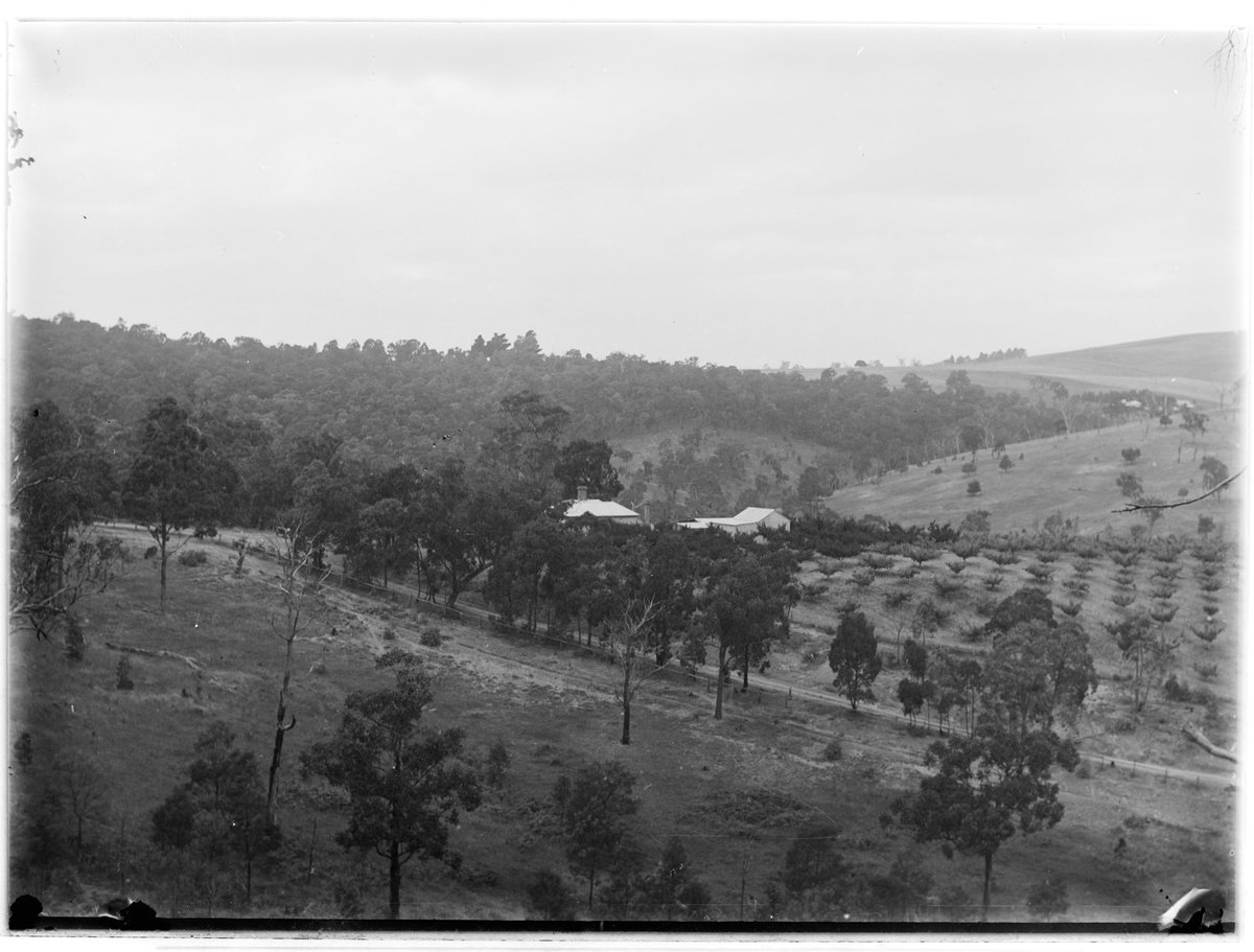 View of farmland around Wattle Glen/Diamond Creek (1910–18)