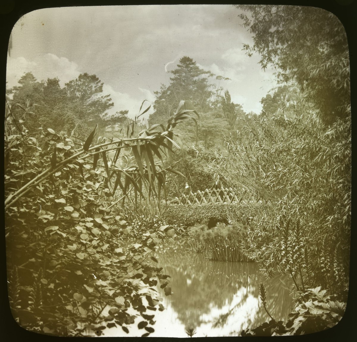 Botanical Gardens, Melbourne (with bridge), Melbourne City (1875–1930)