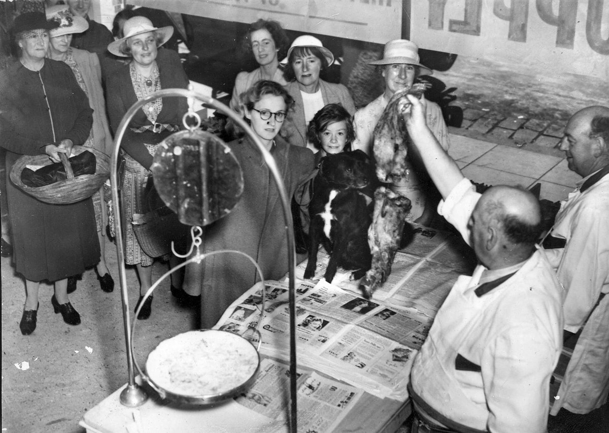 Opening day for first Victorian Butchers shop for pets at Glenferrie Rd, Malvern (c. 1944)