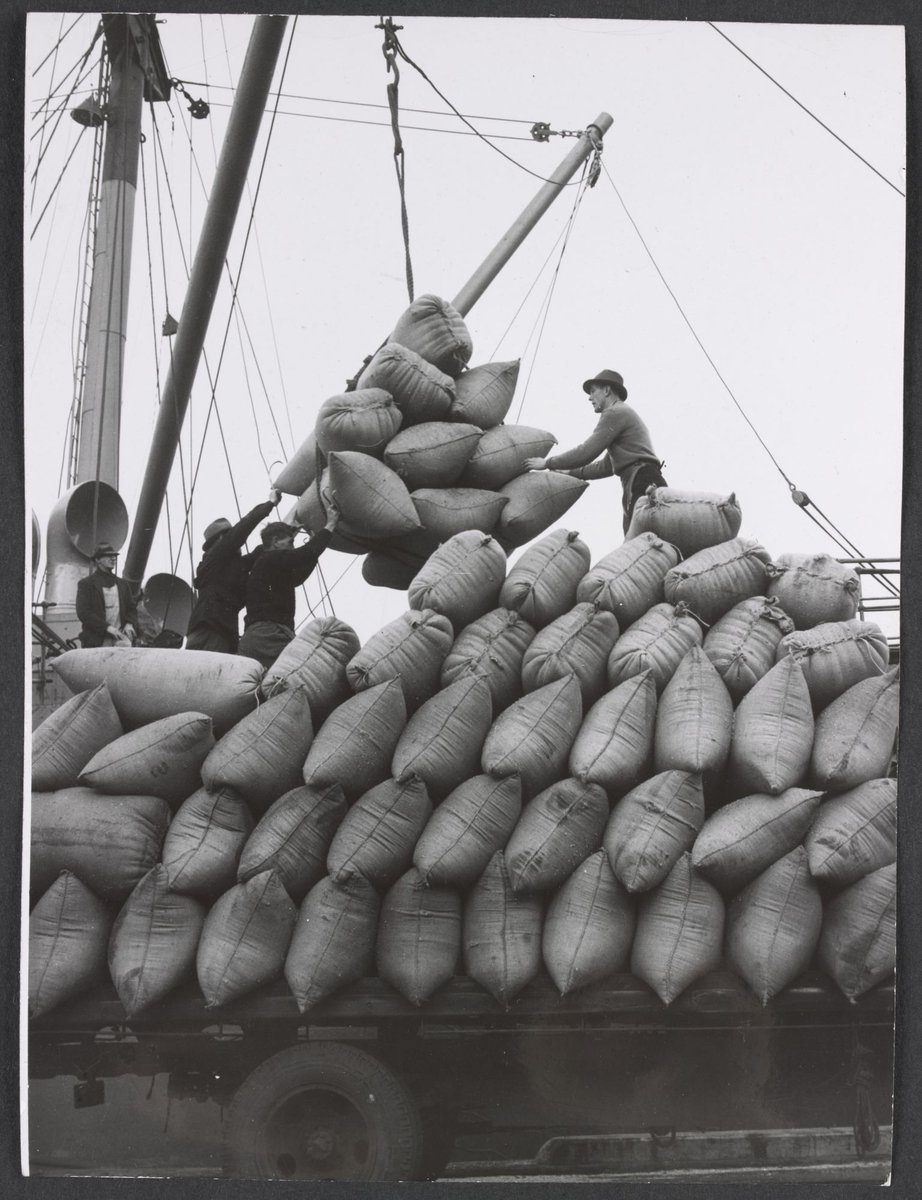 Fodder consignment being unloaded at Victoria Dock, Melbourne (c. 1945)