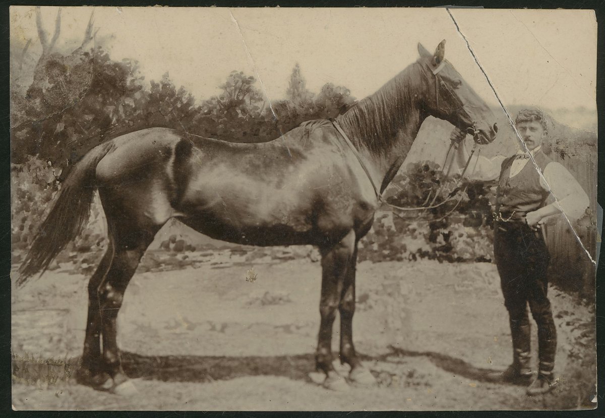 Chas Hammond with mare, Malvern, [Vic.] (1891)