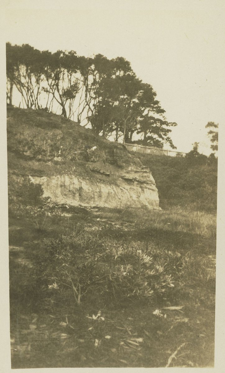 Cliff opposite Frankston Pier (c. 1930)