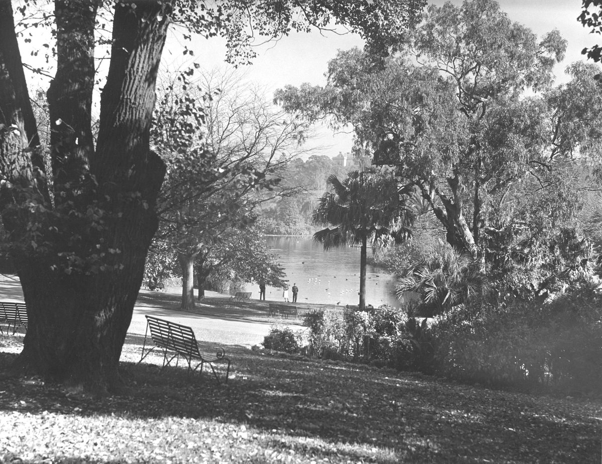 Melbourne in the late 1930s. The Botanical Gardens, Melbourne City (1936–39)