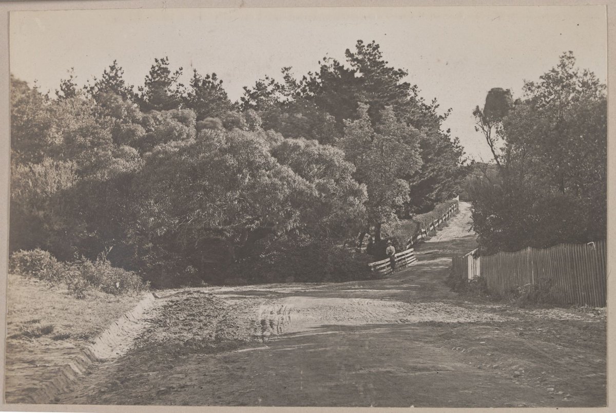 A country road, Frankston [Vic.], 1900
