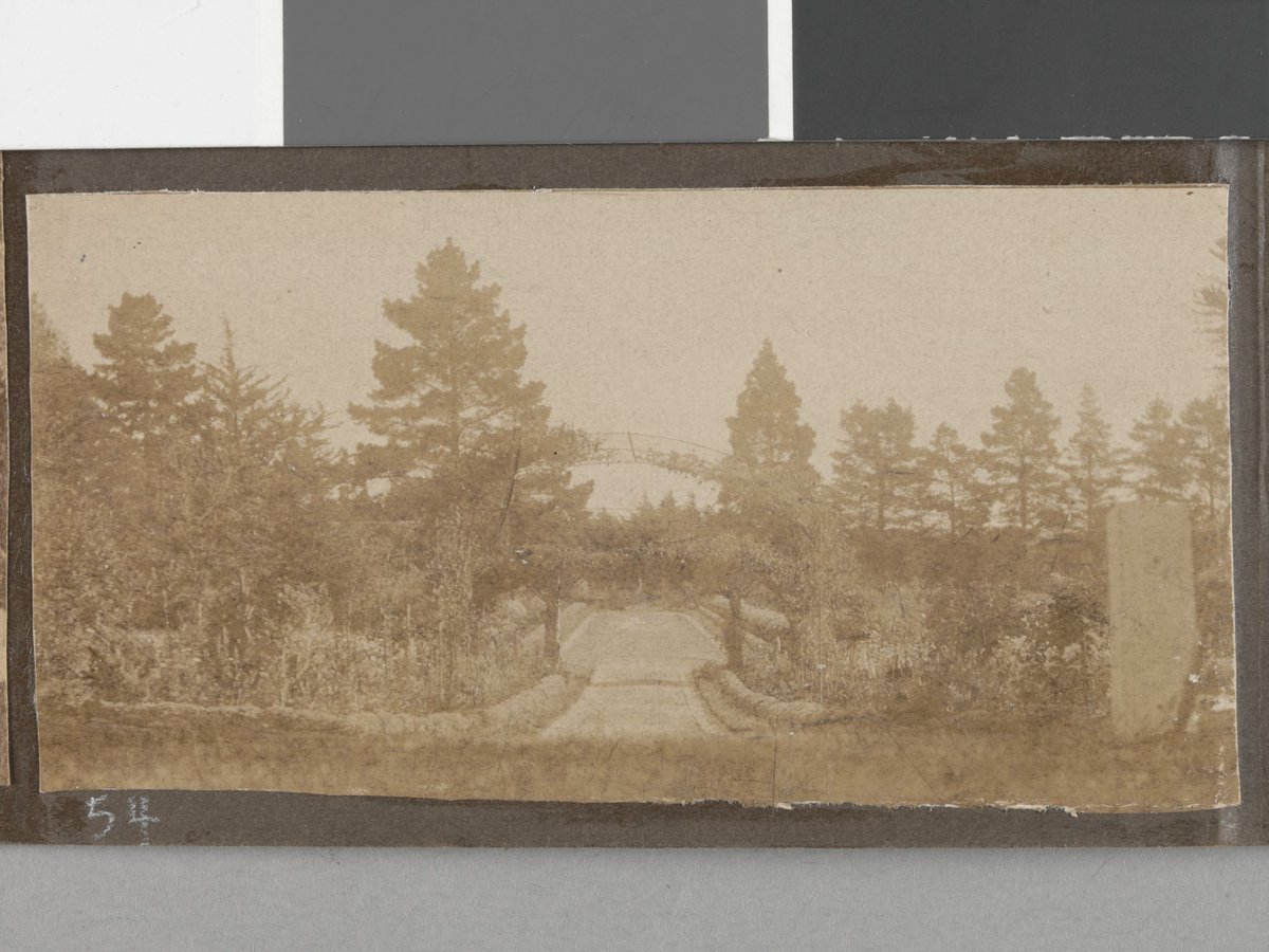 [Gardens and pathway, Hethersett Private Repatriation Hospital, Burwood, Vic.] (1914–20)