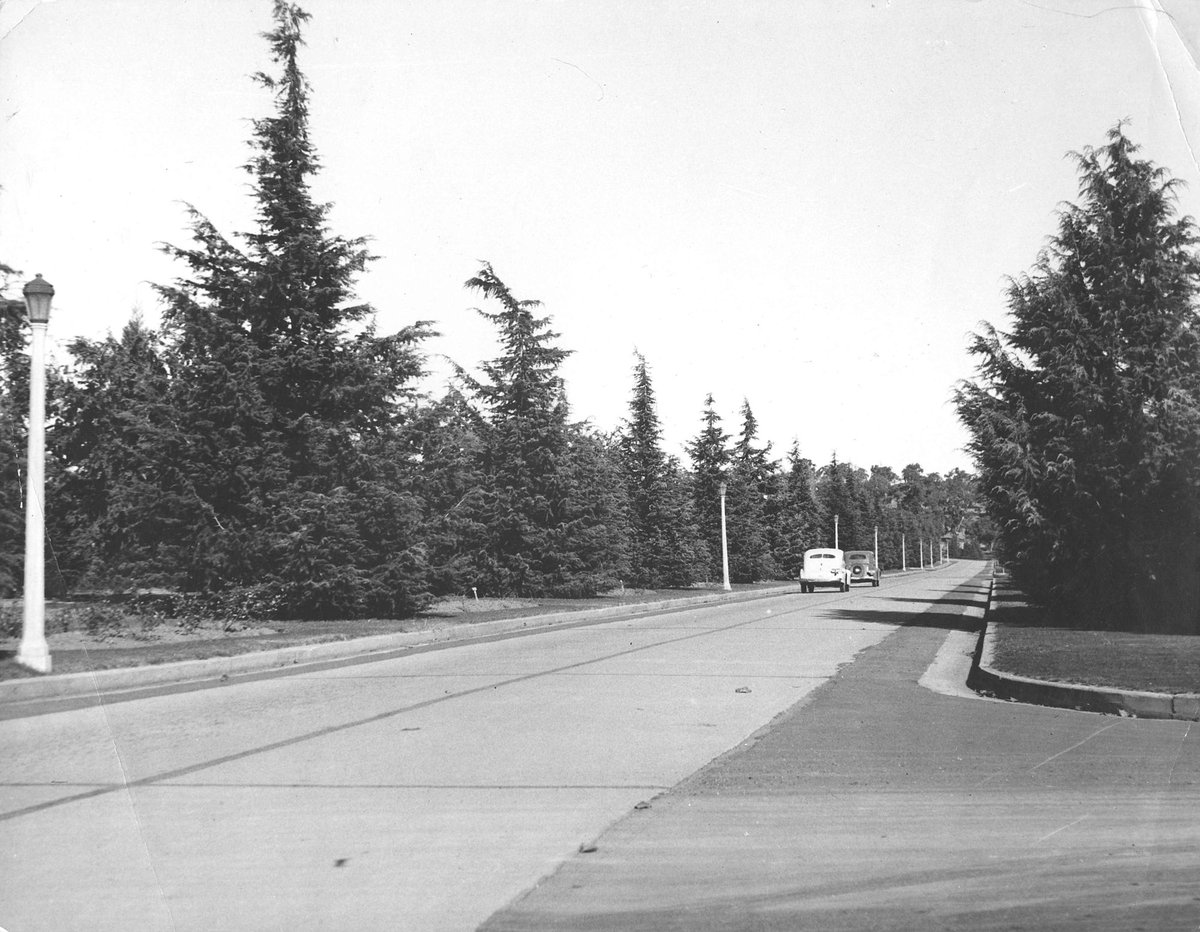 Melbourne in the late 1930s. Undeintified Melbourne road with two motor cars (1936–39)