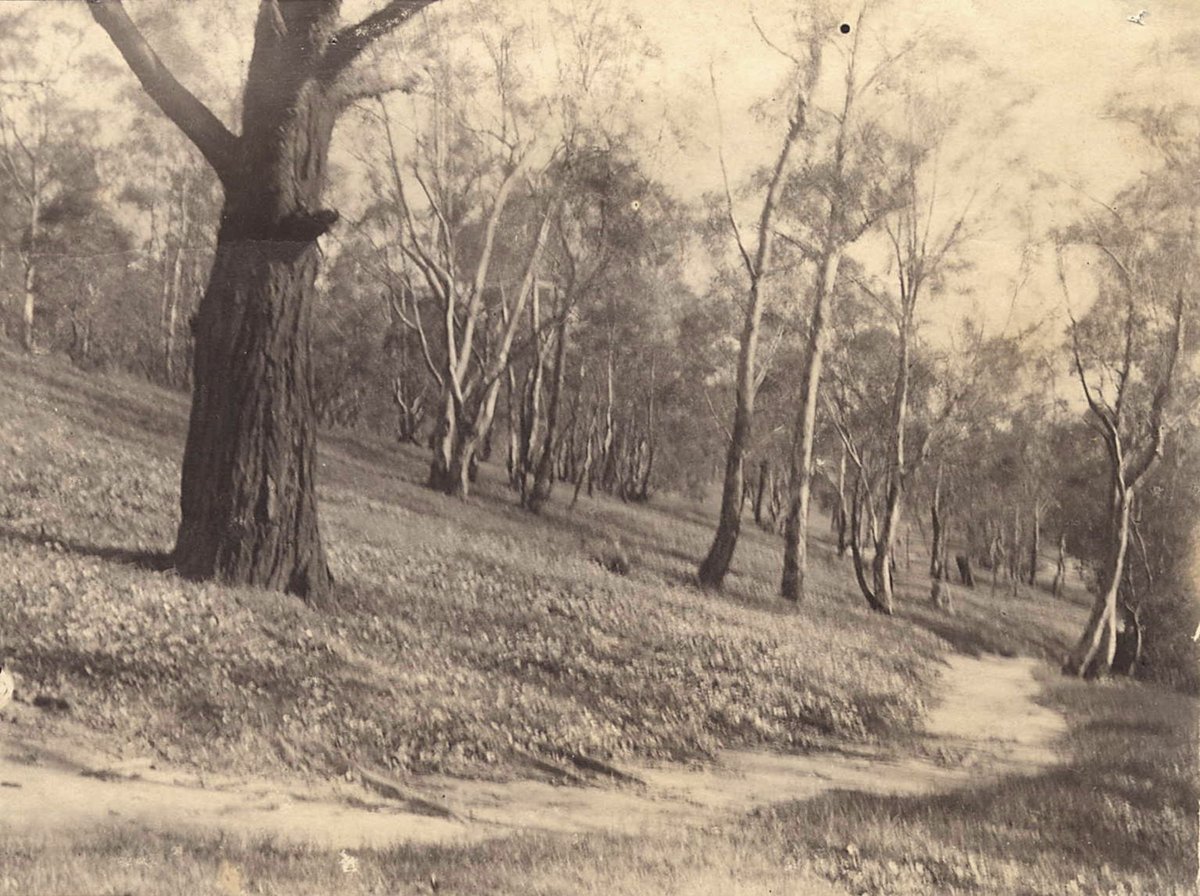 STUDLEY PARK, Kew (1910–20)