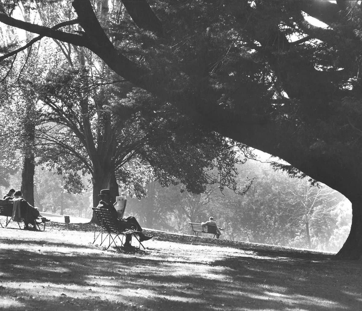 Melbourne in the late 1930s. A Melbourne public garden (1936–39)