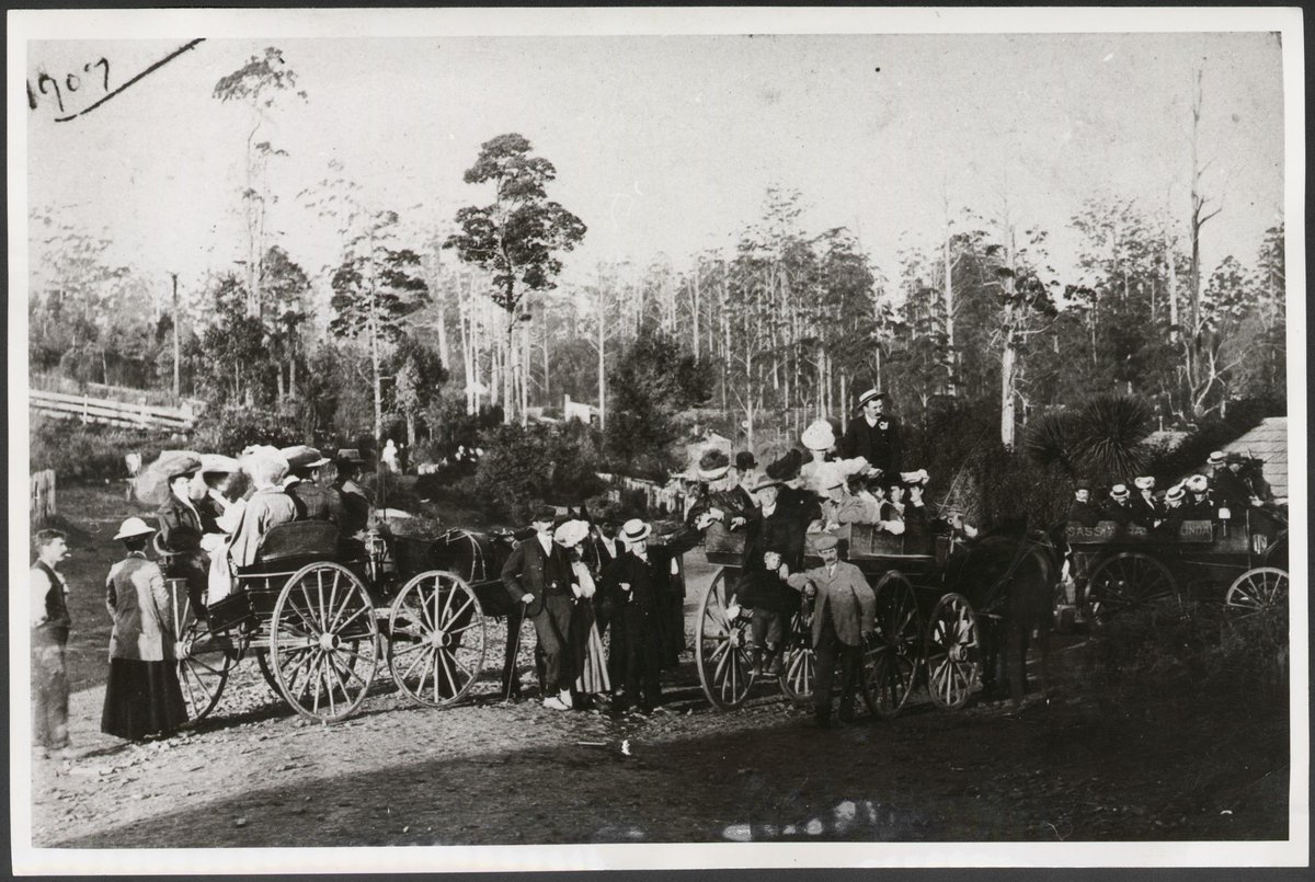 Picknicking party at unidentified location, possibly the Dandenong Ranges, Victoria (1971)