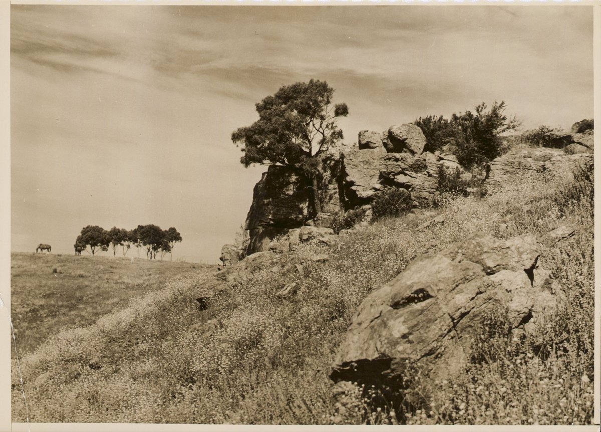 Keilor, near Maribyrnong River, Vict (1950?)