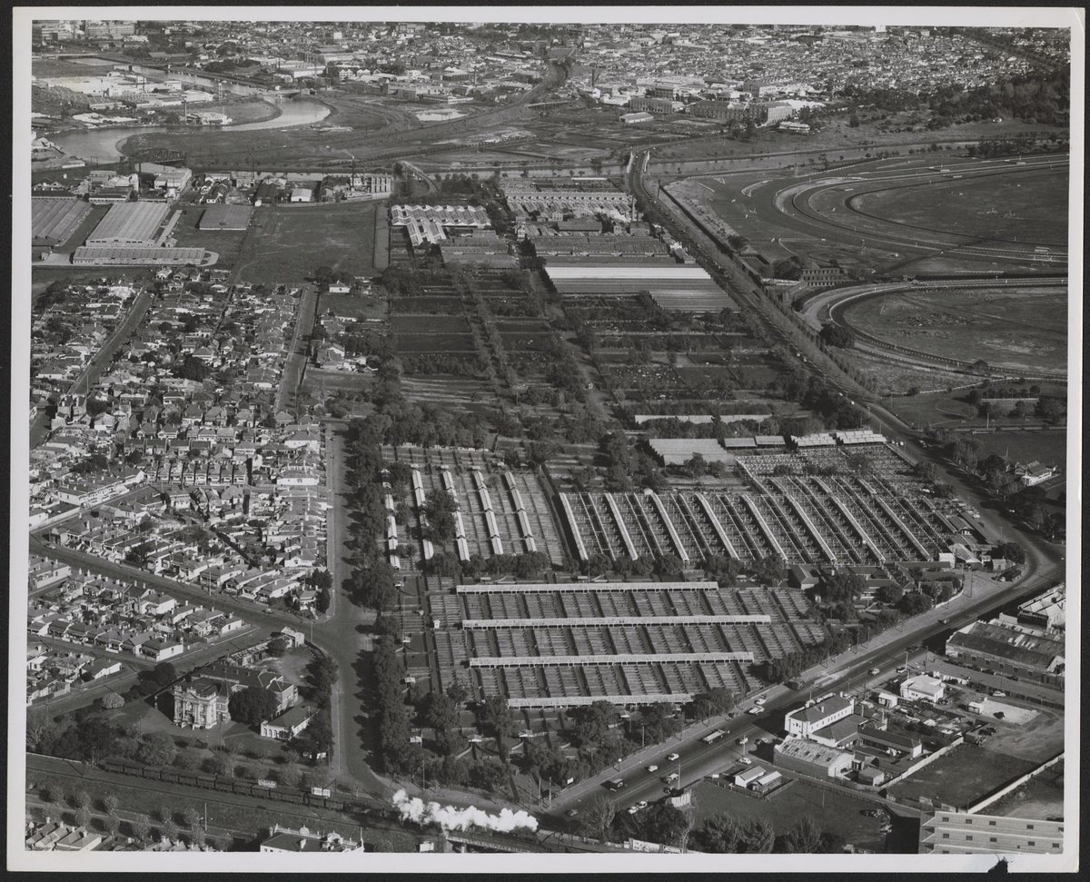 Aerial view looking west showing Kensington Stock and Sale Yards (1953)
