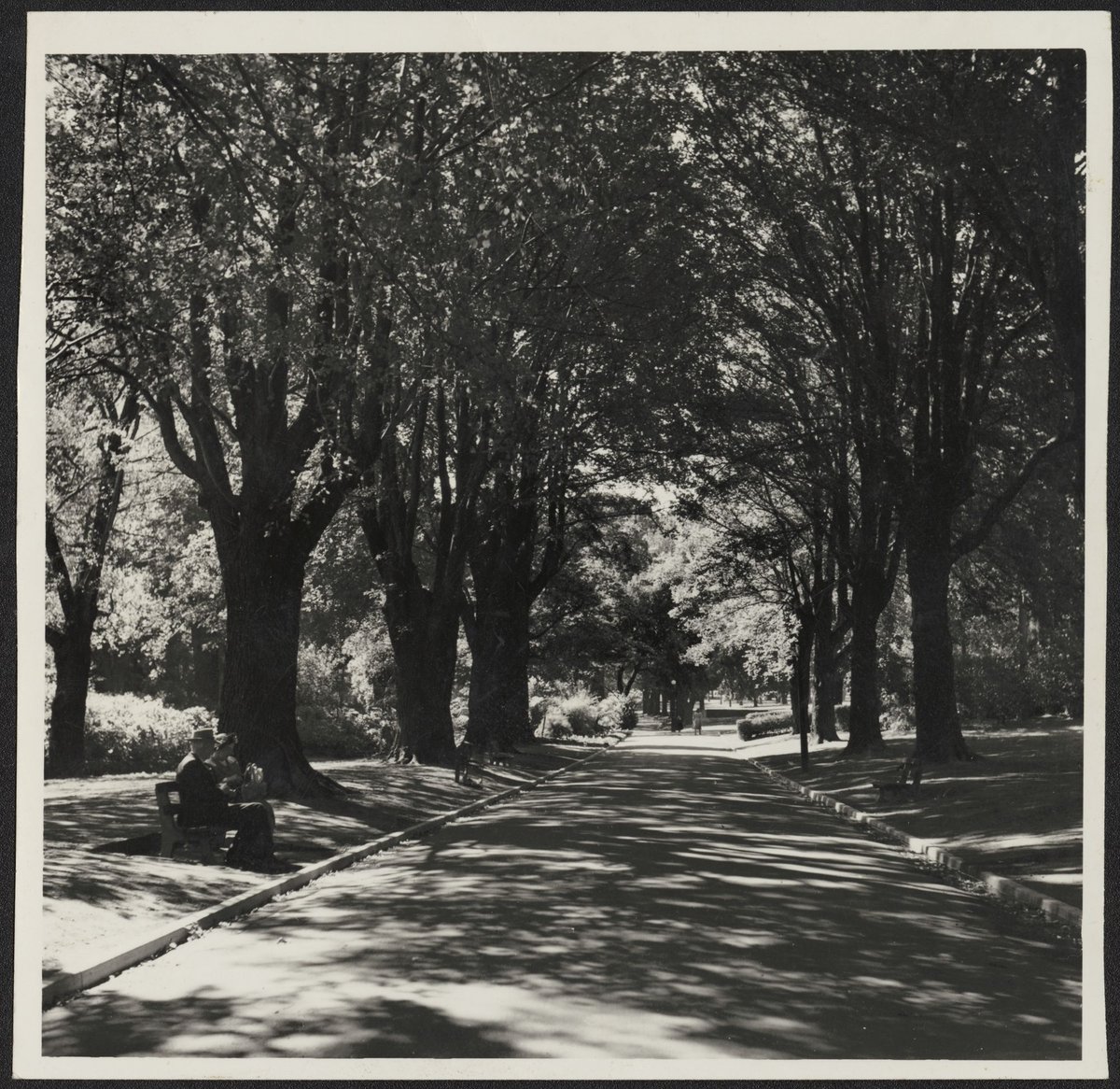 Views of Melbourne Victoria (1950–54)