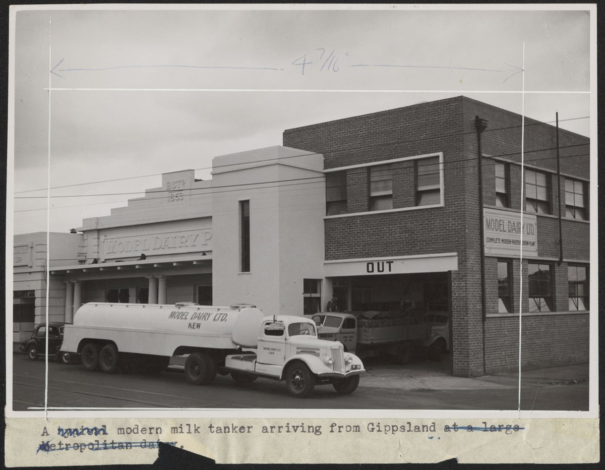 Modern milk truck arriving from Gippsland at Model Dairy Ltd., Kew, Victoria (1950–60)