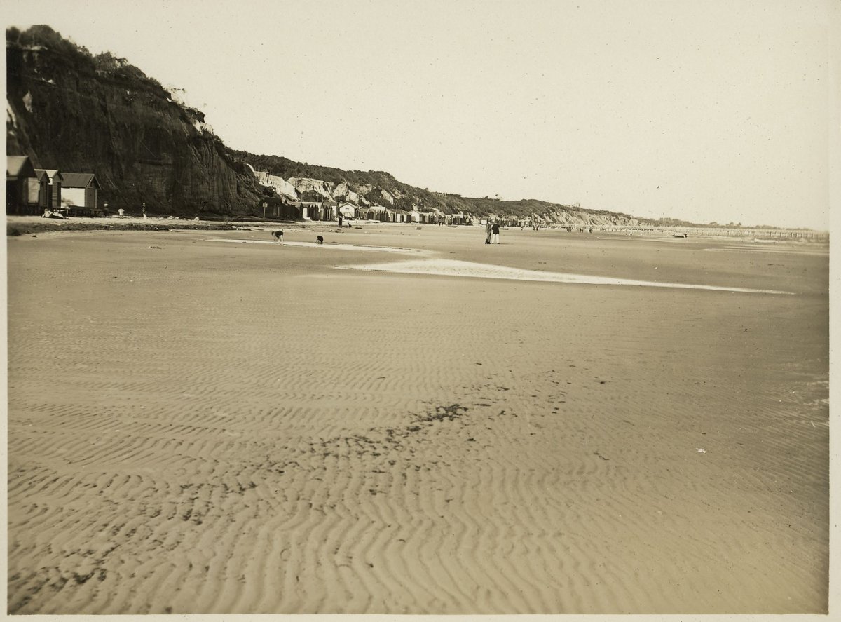 Plain of marine [...tion?], Beaumaris (1910–20)