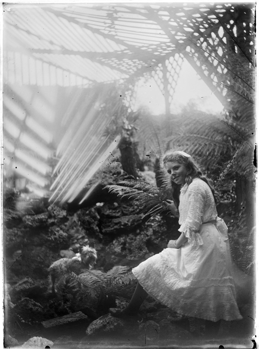 Women and children, possibly in the gardens of Pine Grove, Lennox Street, Richmond (1902–08)