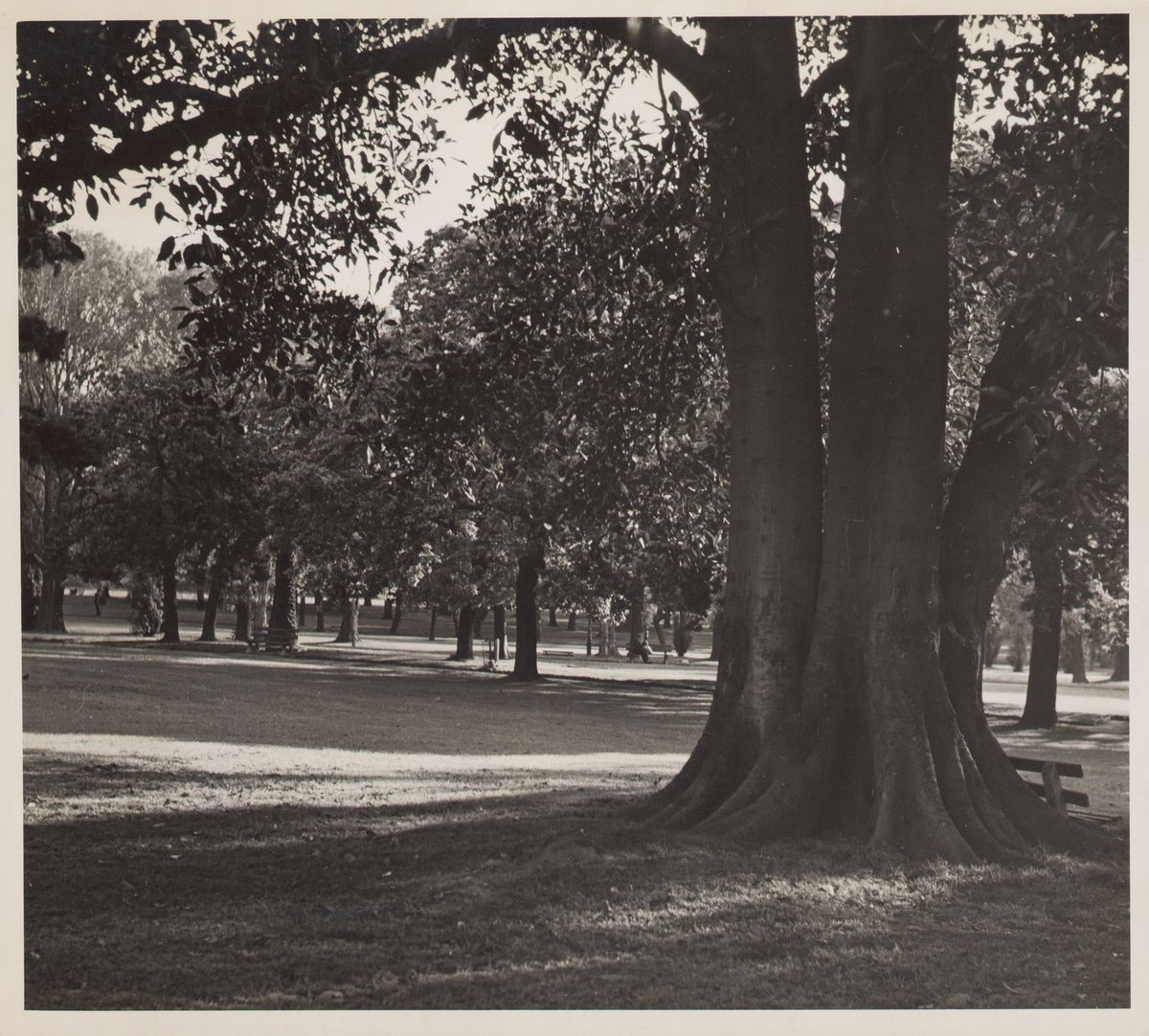 Glimpse of the Fitzroy Gardens, East Melbourne (1950?)