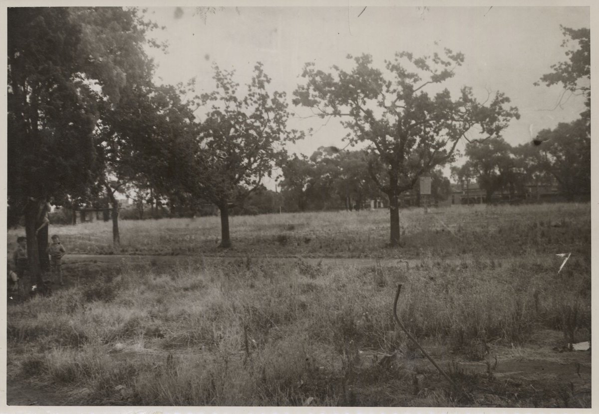 Open ground, Richmond, Victoria (1947?)