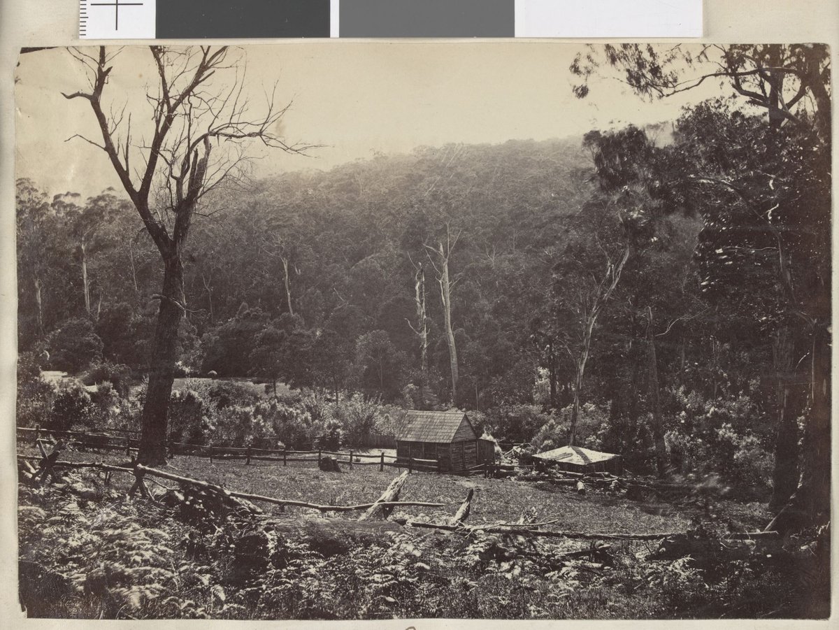 Scene near Dandenong "Moon's Range" (1876)