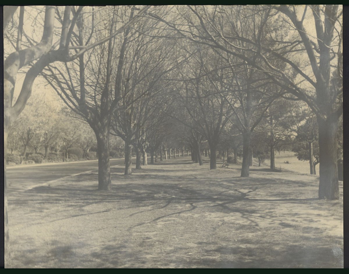 [Alexandra Avenue, Melbourne], Melbourne City (c. 1935)