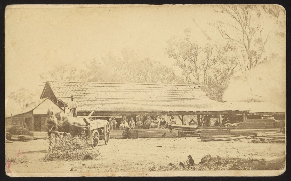 One of the sawmills of the late Mr John Quiggin, Ontario, Power St. Hawthorn, [Vic.] (1910s)