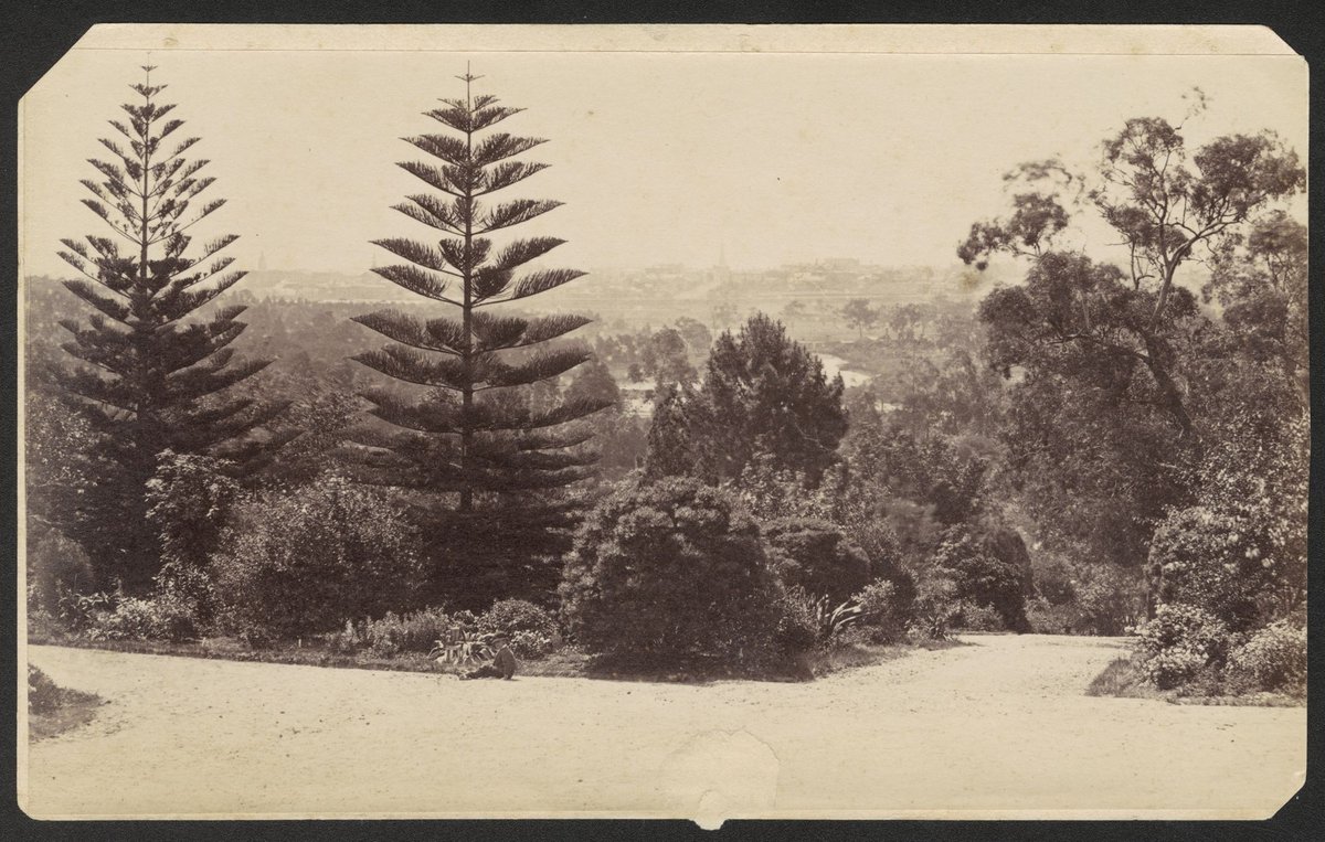 Public Gardens, Melbourne (ie. Botanical Gardens), Melbourne City (1870–80)
