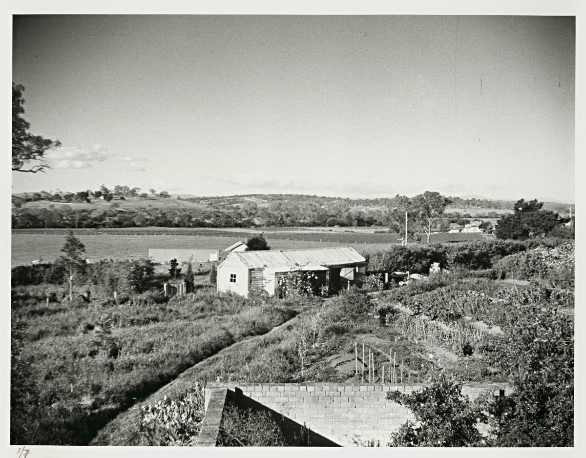 The view north from Heide, Templestowe (1943)