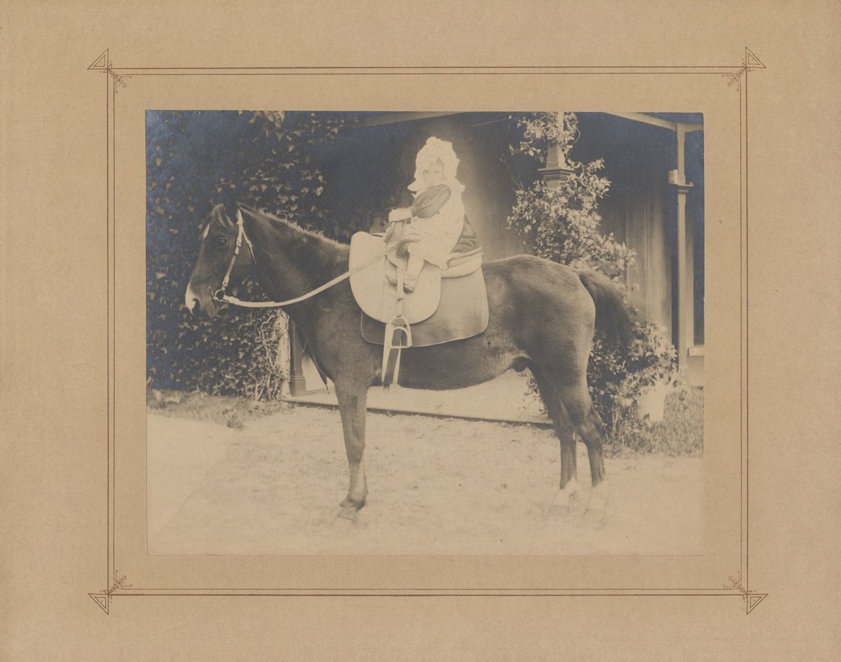 Beatrice Madden, aged 3, on a horse at Yamala, Frankston (1880–85)