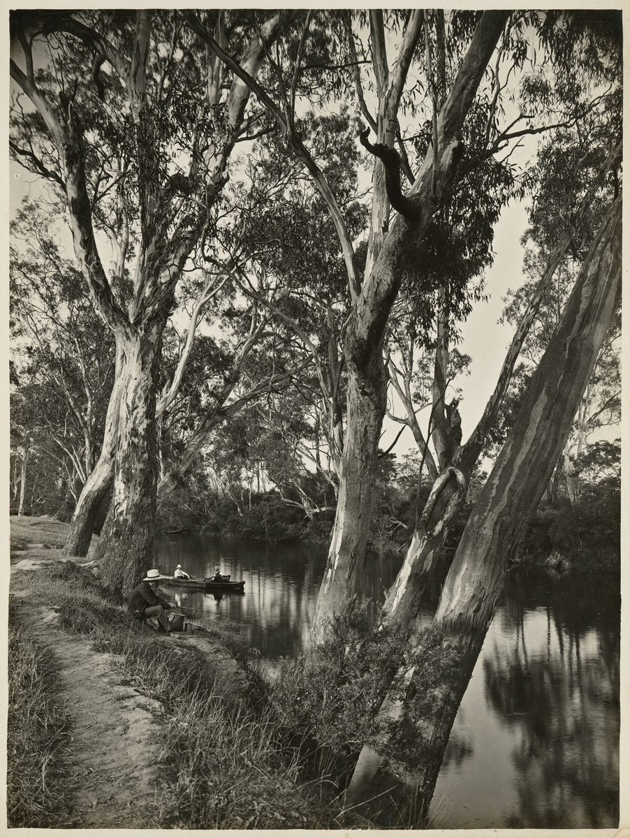 River Yarra, Fairfield (1910–30)