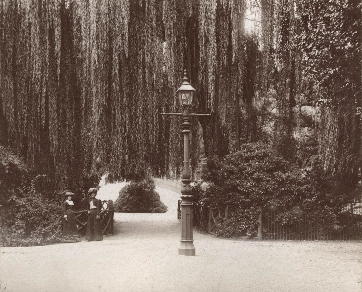 Gas lamp in Fitzroy gardens, East Melbourne (1890–1900)