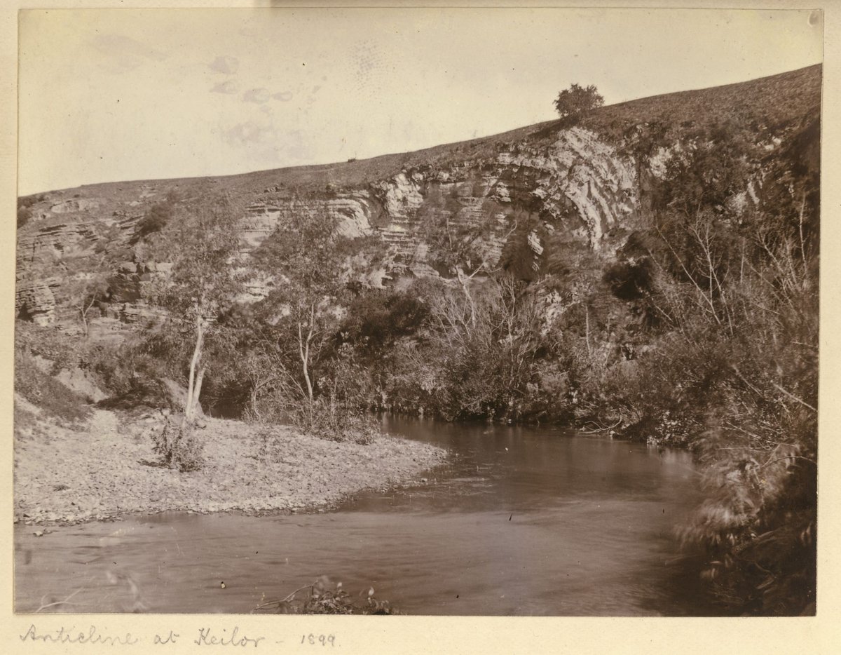 Anticline at Keilor [Vic.] (1899)