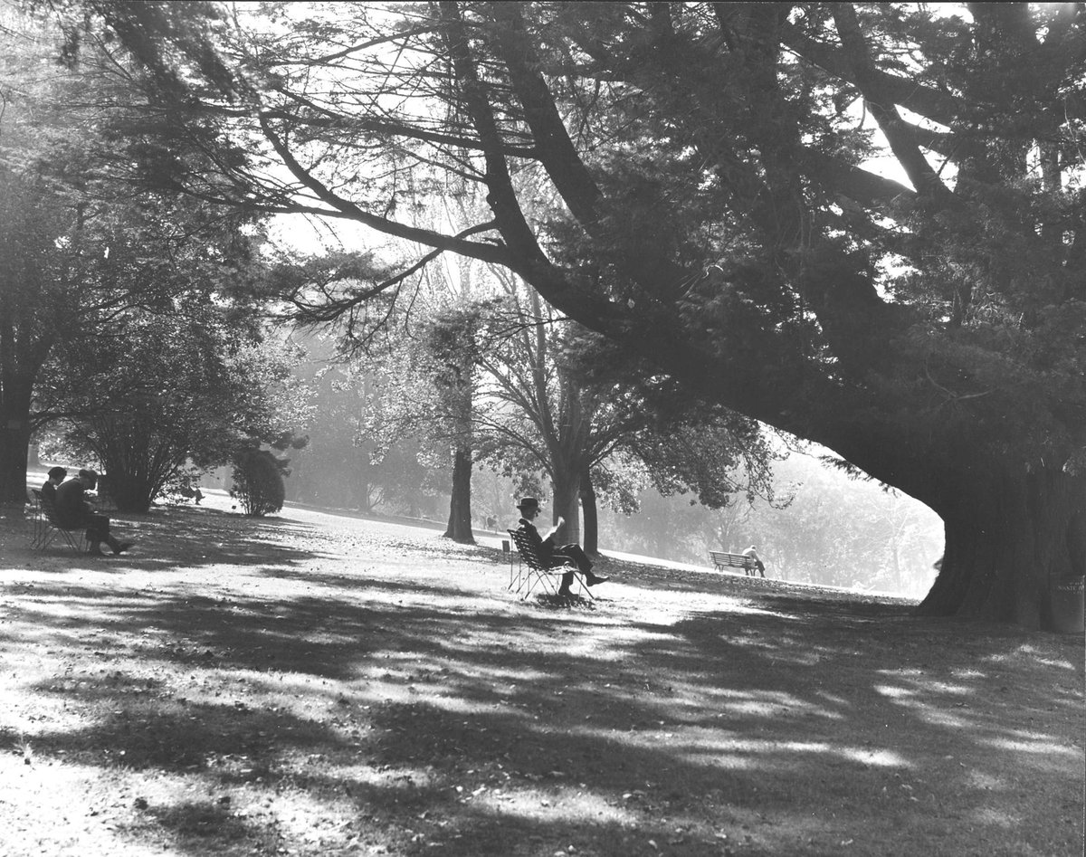 Melbourne in the late 1930s. In a Melbourne garden (1936–39)