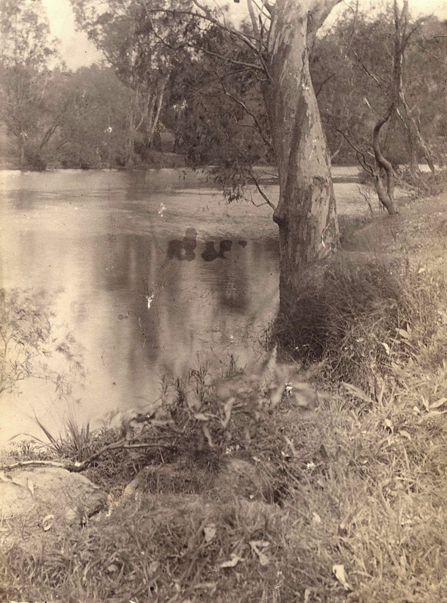 Studley Park, Kew (1910–20)