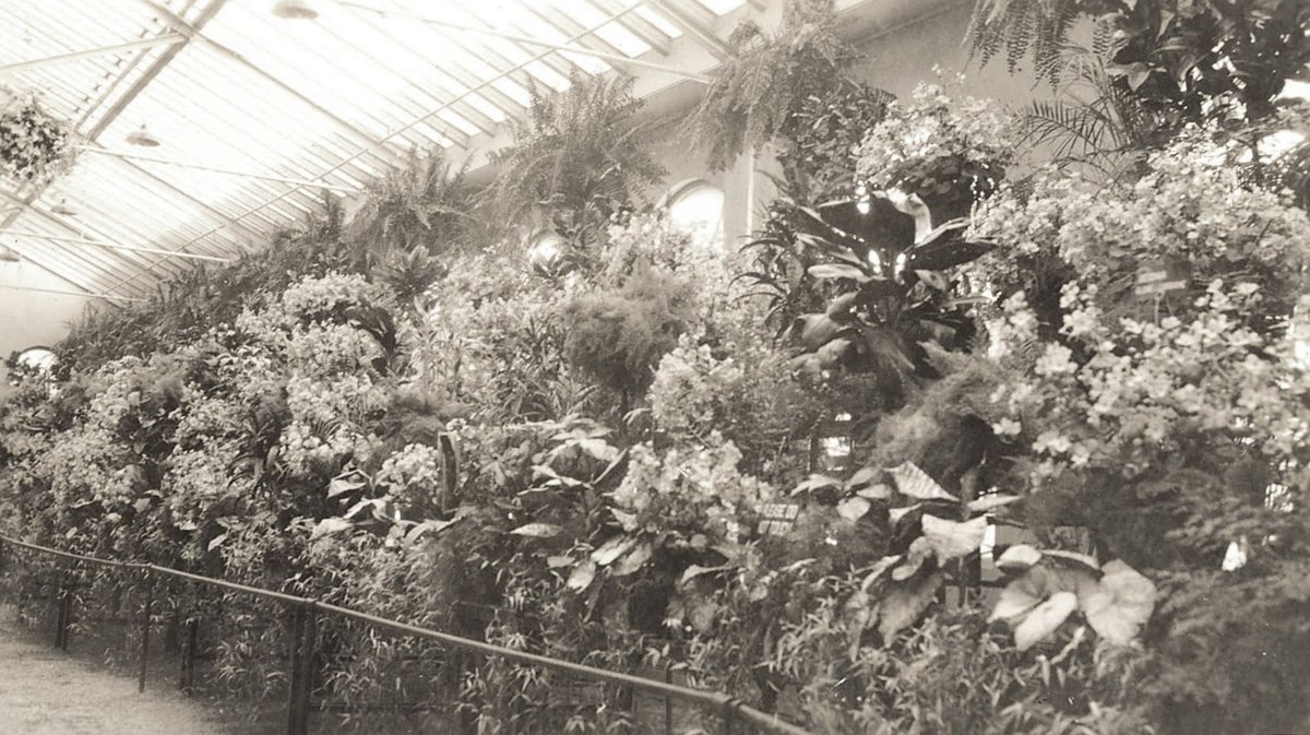 Conservatory Fitzroy Gardens Melbourne, East Melbourne (1934)