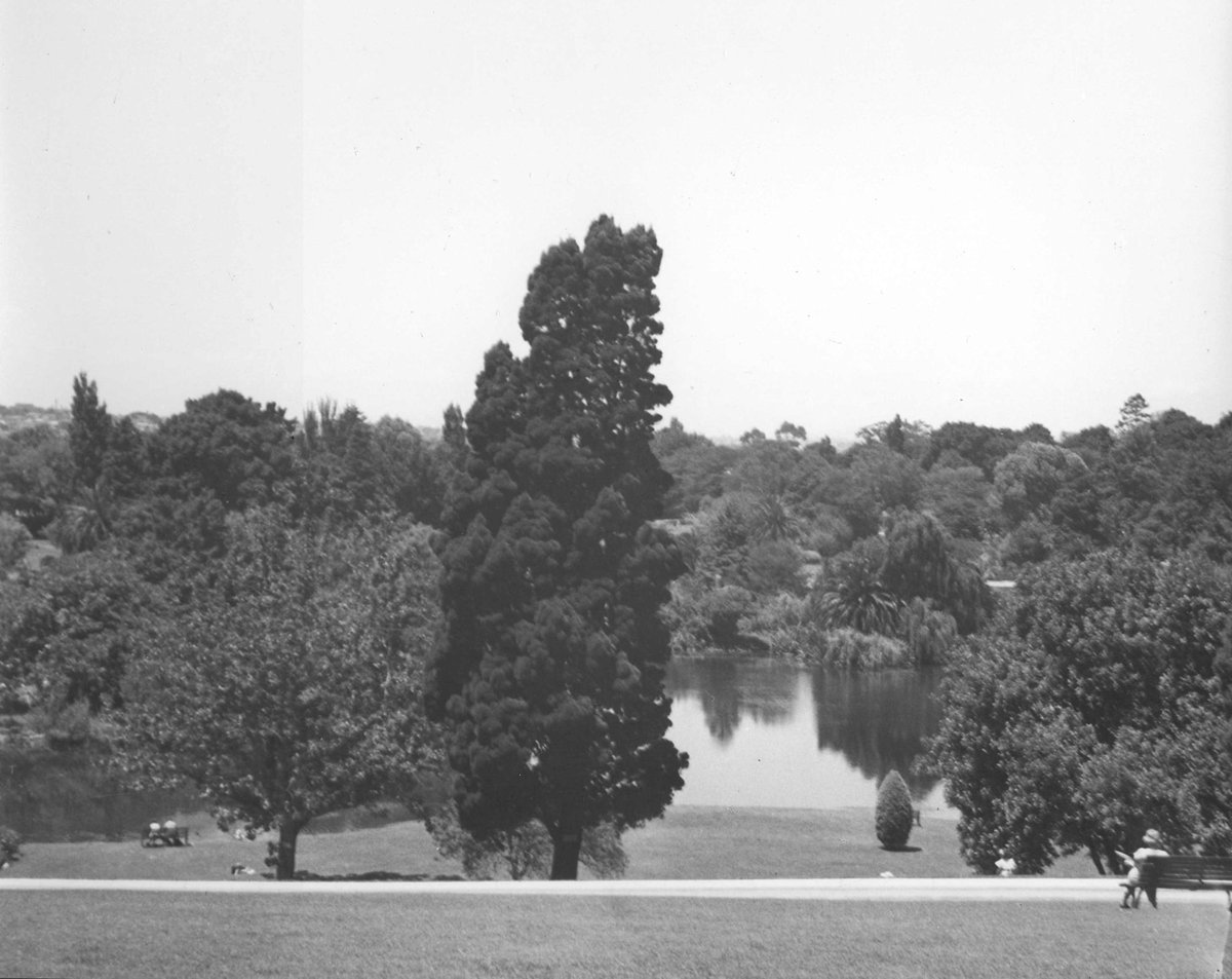 Melbourne in the late 1930s. The Botanical Gardens, Melbourne City (1936–39)