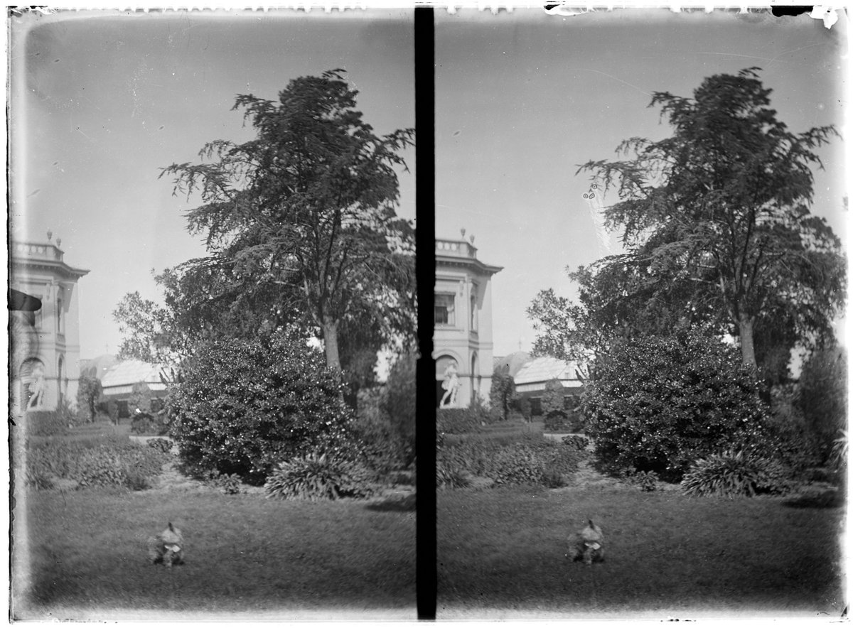Views of Pine Grove, Lennox Street, Richmond (1902–08)