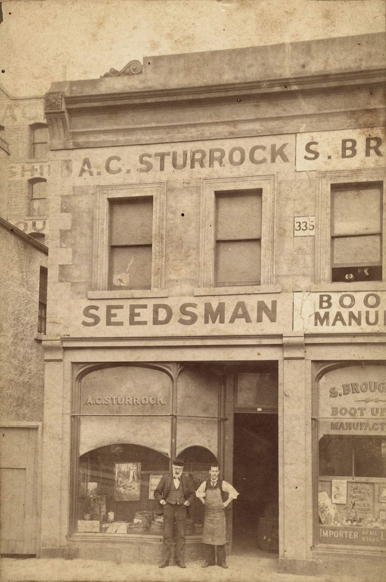 Premises of A.C. Sturrock, Seed Merchants, 333 Lonsdale Street, near Elizabeth Street, Melbourne, Melbourne City (1895–1900)