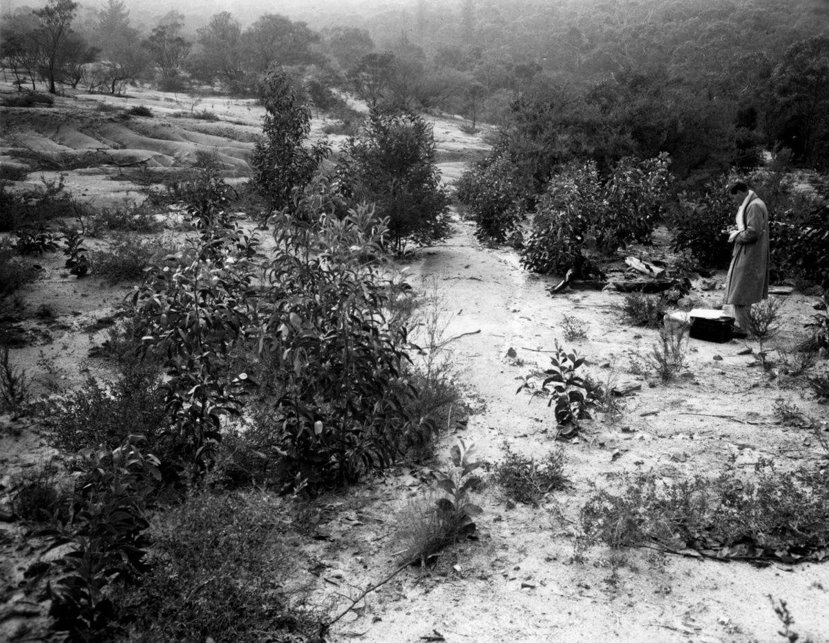 Frankston Reservoir (1952)