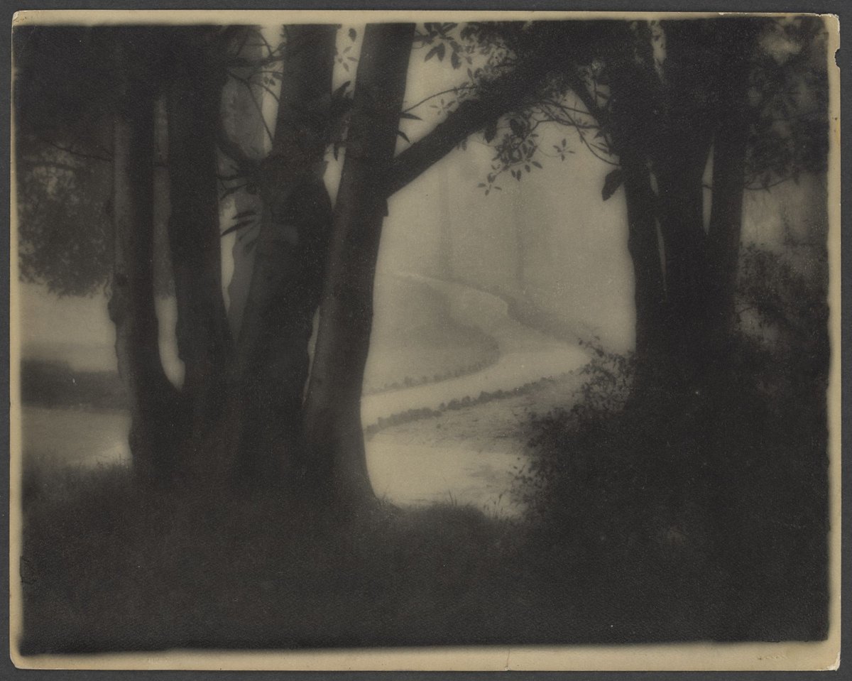 Treasury Gardens looking towards Collins Street, East Melbourne (1910–20)