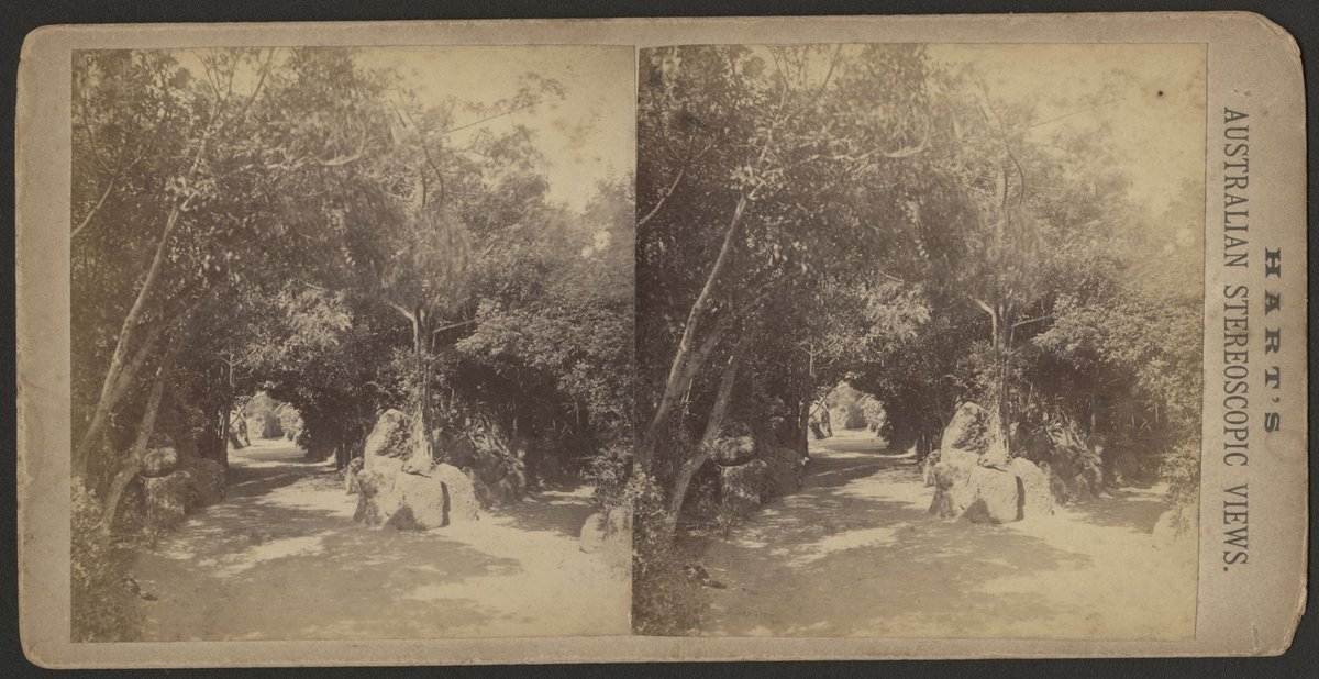 Path through the Botanical Gardens, Melbourne, Melbourne City (1885)