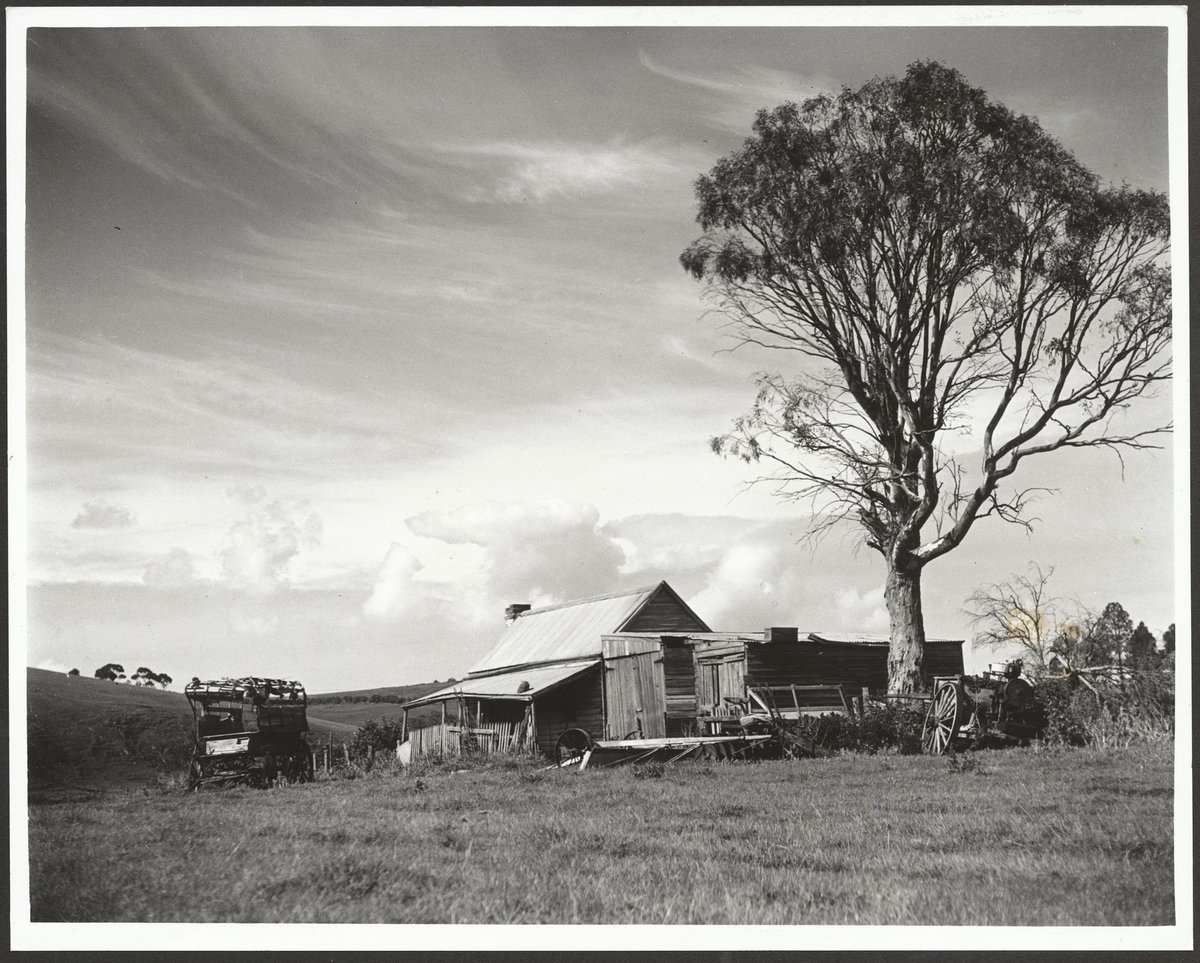 Deserted farmhouse and sheds, Keilor District (1950–51)