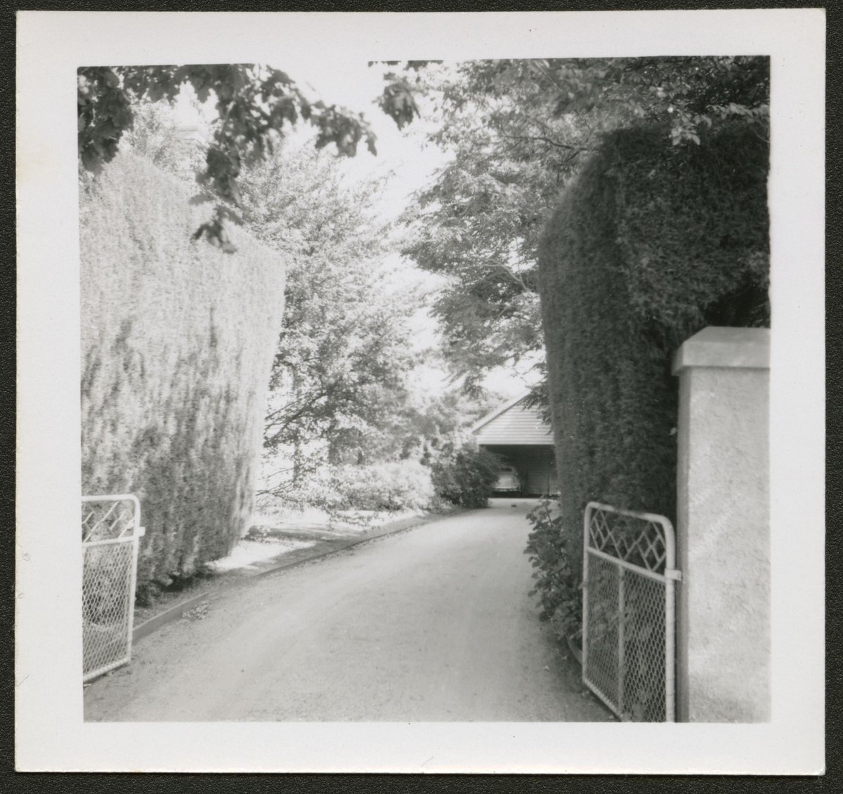 View of houses and large gardens, possibly Alma Road, Camberwell (1940–50)