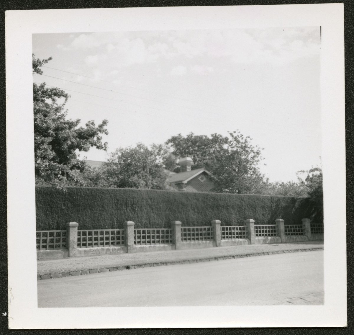 View of houses and large gardens, possibly Alma Road, Camberwell (1940–50)
