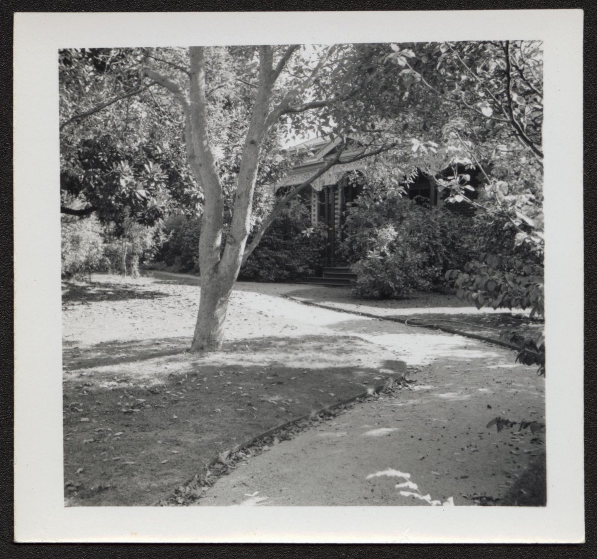 View of houses and large gardens, possibly Alma Road, Camberwell (1940–50)