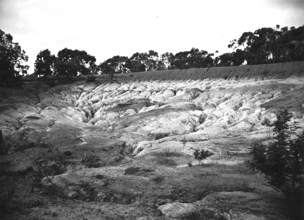 Frankston (1939)
