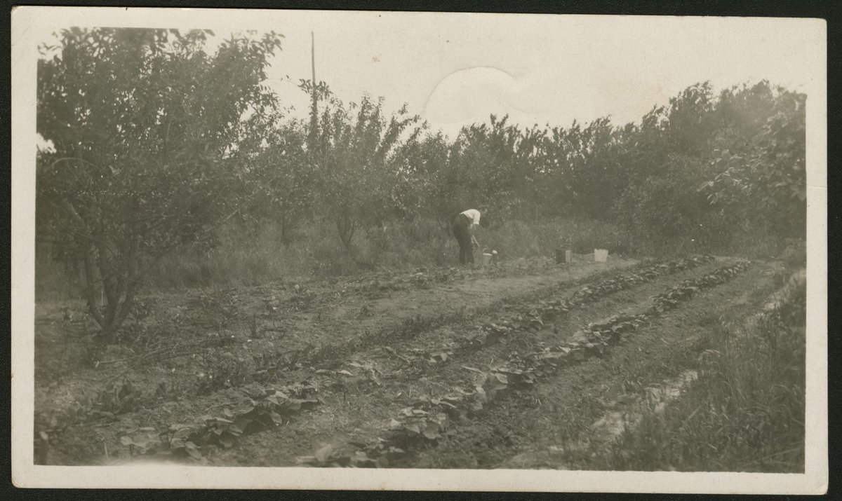 Market Garden Blackburn 1927